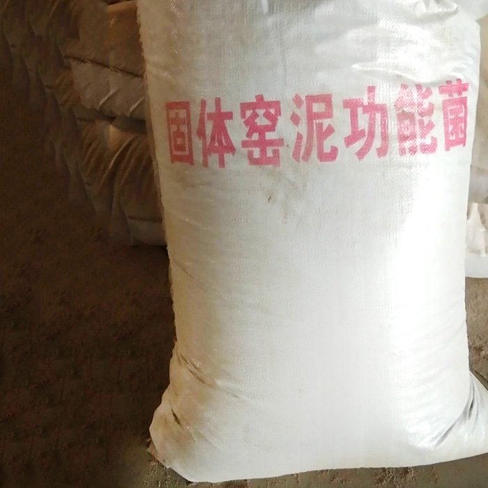 固体窖泥功能菌.jpg
