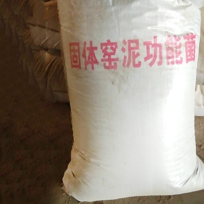 固体窖泥功能菌